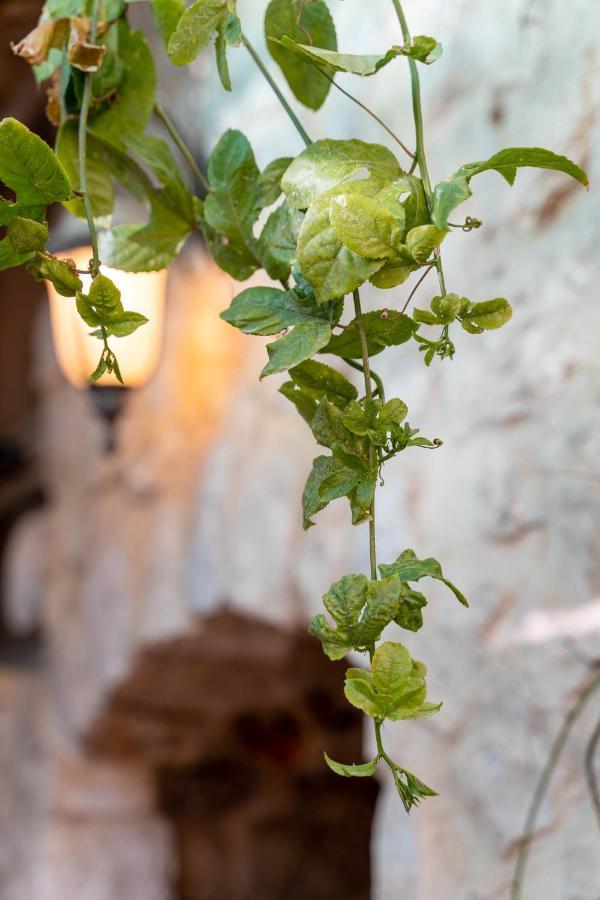 Galilee Sunset Tzimmers ซาเฟด ภายนอก รูปภาพ
